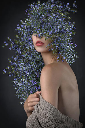 2019中文在线高清字幕电视剧免费播放